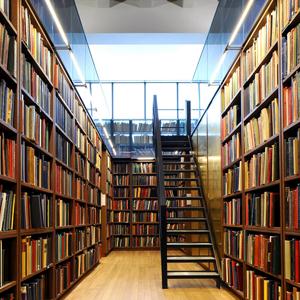 Библиотеки Саки