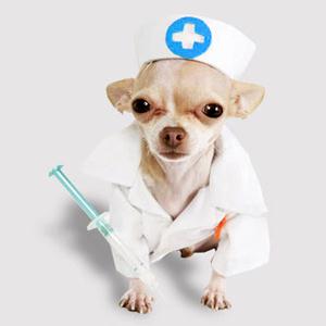 Ветпомощь на дому Саки